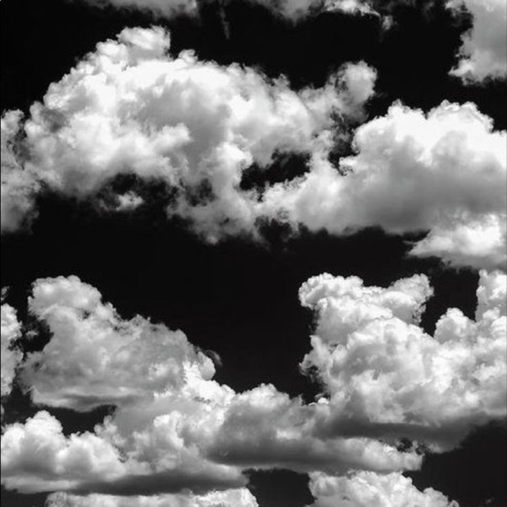 Meet your Posher, Phoebe